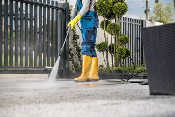 Best Graffiti Removal Services in Candlewick Lake, IL